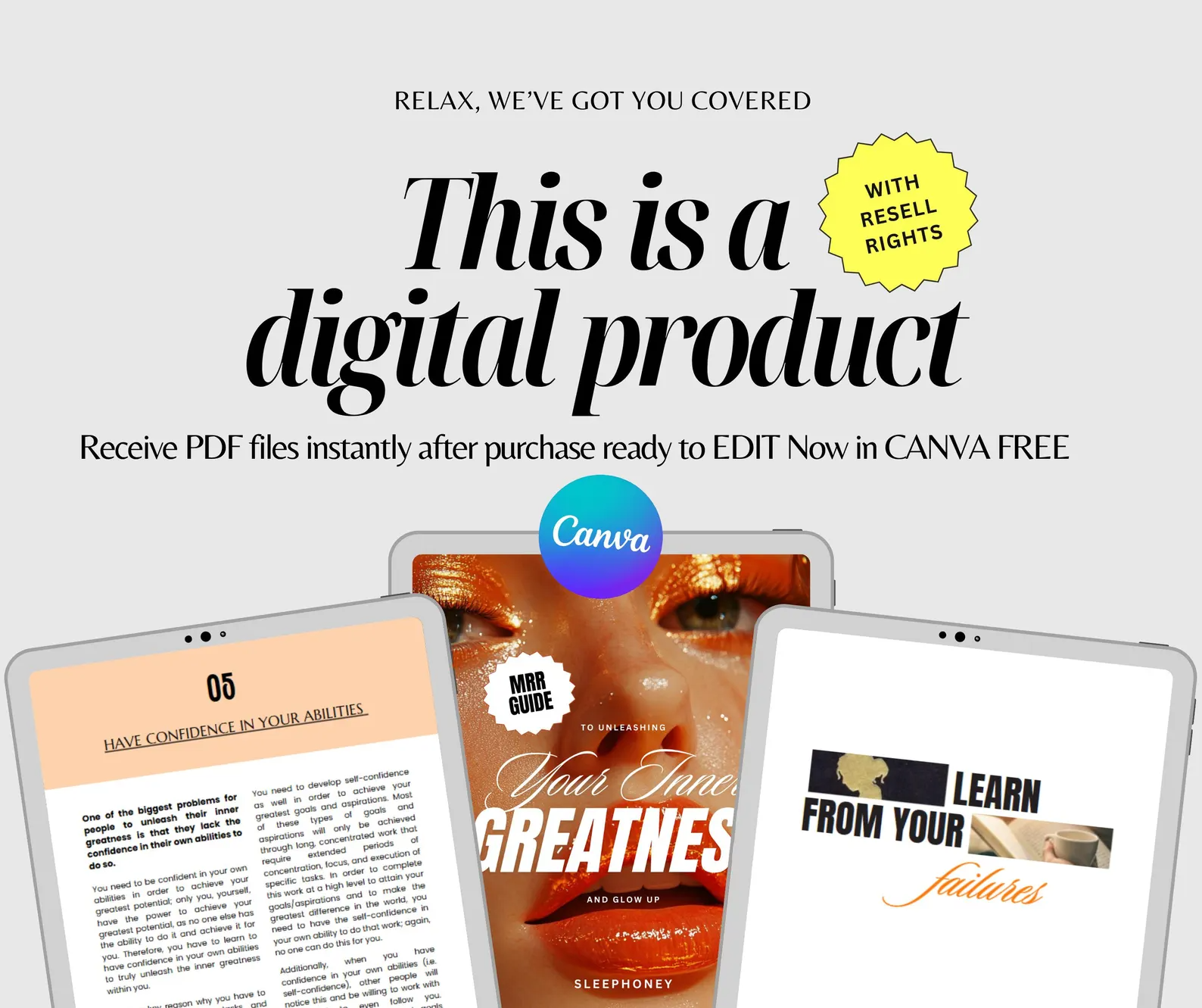 5 Done For You PLR Guides MRR Glow Up Bundle - Image 5