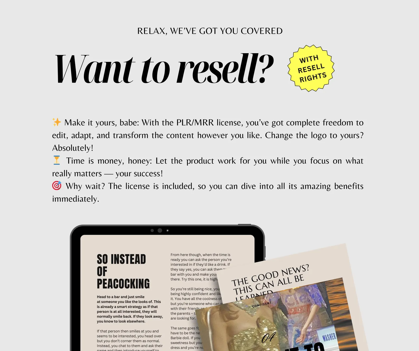 5 Done For You PLR Guides MRR Glow Up Bundle - Image 6